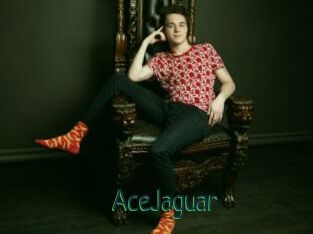 AceJaguar