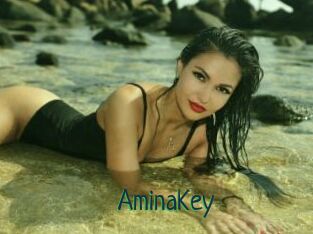 AminaKey