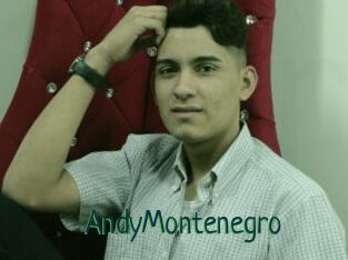 AndyMontenegro