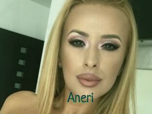 Aneri