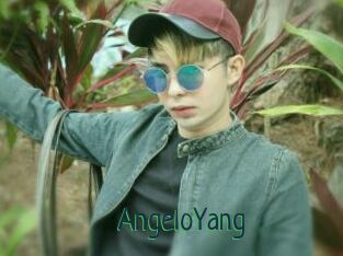 AngeloYang