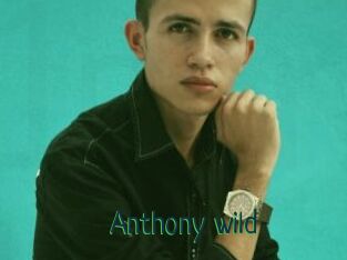 Anthony_wild
