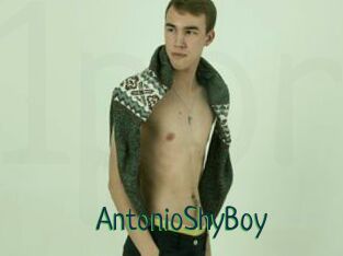 AntonioShyBoy