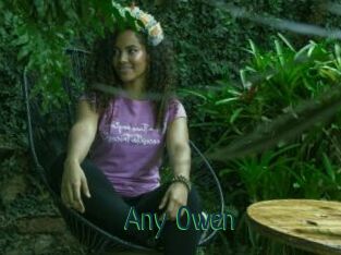 Any_Owen