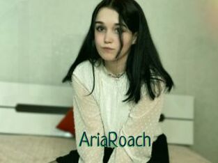 AriaRoach