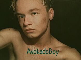 AvokadoBoy