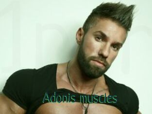 Adonis_muscles