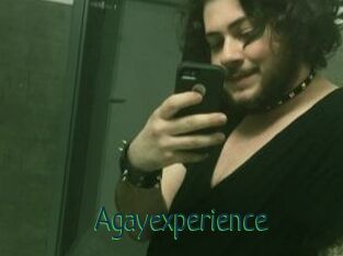 Agayexperience