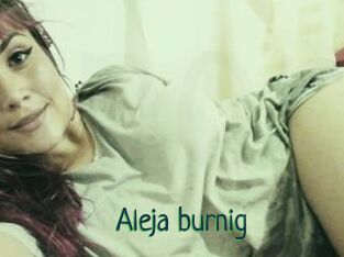Aleja_burnig