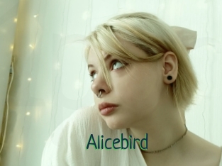 Alicebird