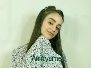 Amityarnet