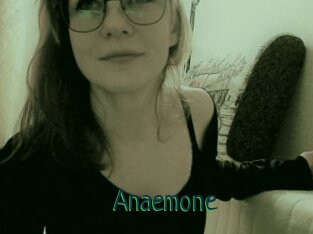 Anaemone
