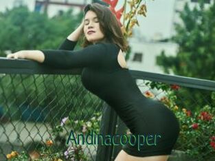 Andinacooper