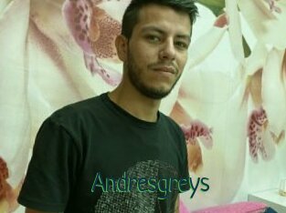 Andresgreys