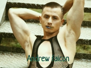 Andrew_falcon