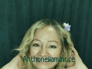 Anthonellamature