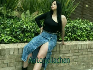 Antonellachan