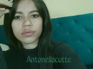 Antonellacutte