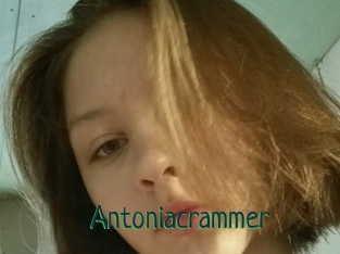 Antoniacrammer