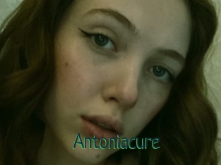 Antoniacure