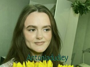 Antoniadudley