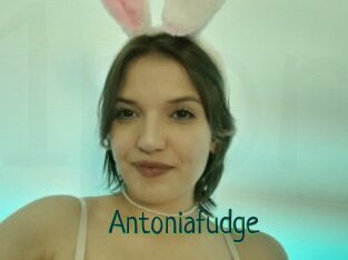 Antoniafudge