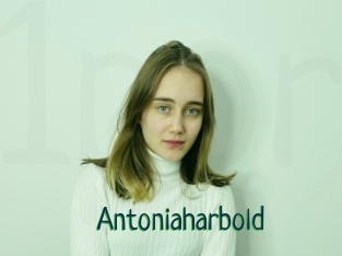 Antoniaharbold