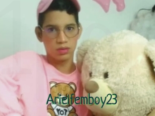 Arielfemboy23