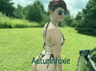 Autumnfoxie