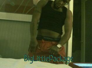 BigLittlePackage