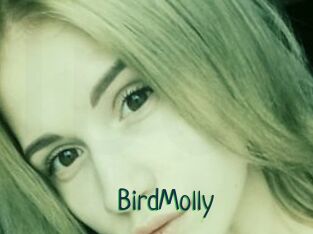 BirdMolly