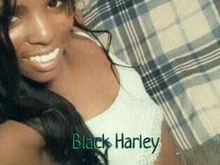 Black_Harley