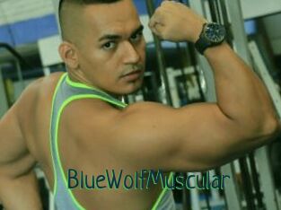 BlueWolfMuscular