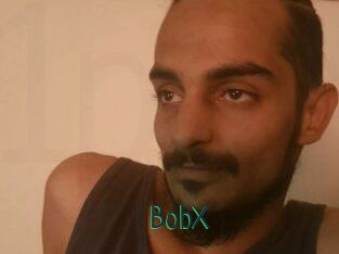 BobX