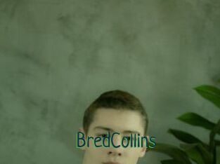 BredCollins