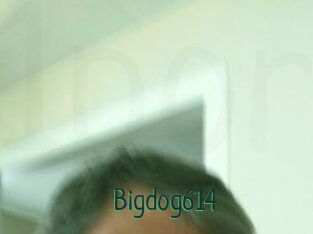 Bigdog614