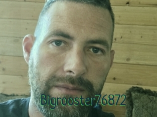 Bigrooster76872