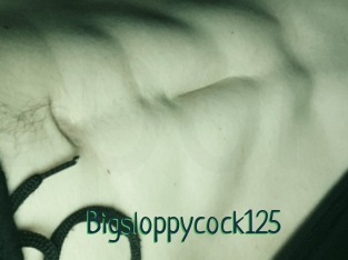 Bigsloppycock125