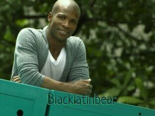 Blacklatinbear