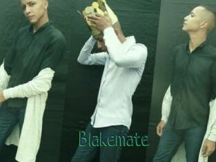 Blakemate
