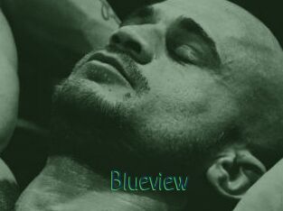 Blueview