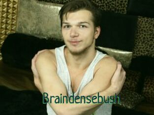 Braindensebush