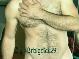 Brbigdick29