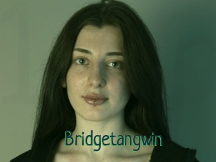 Bridgetangwin