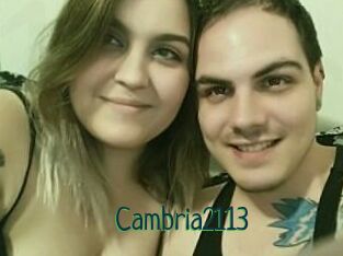 Cambria2113