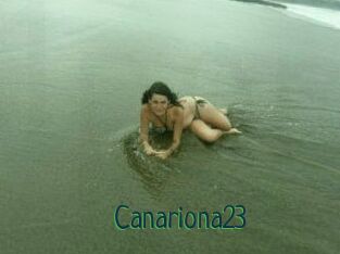 Canariona23