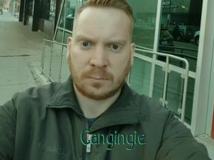 Cangingie