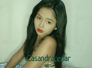 Casandracedar