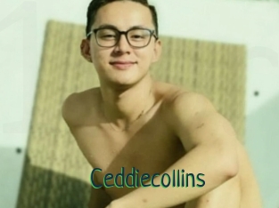 Ceddiecollins