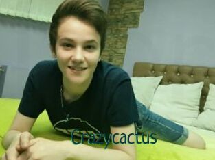 Crazycactus